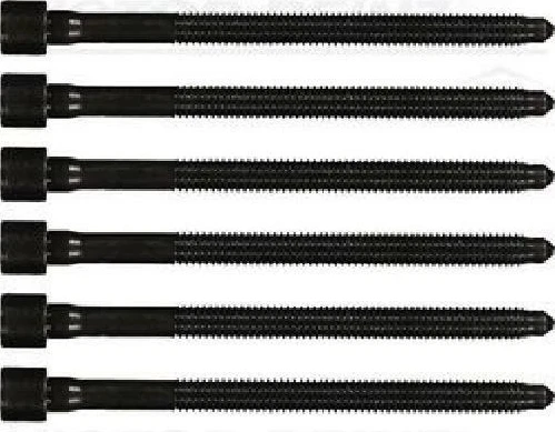 Passar Victor Reinz 06D103385D10X Cylinder Head Bolt